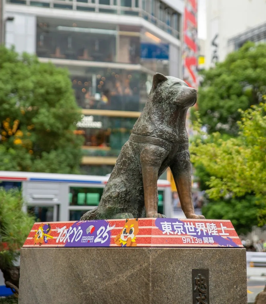 unsplash_52CbRwXcsTs_hachiko.webp