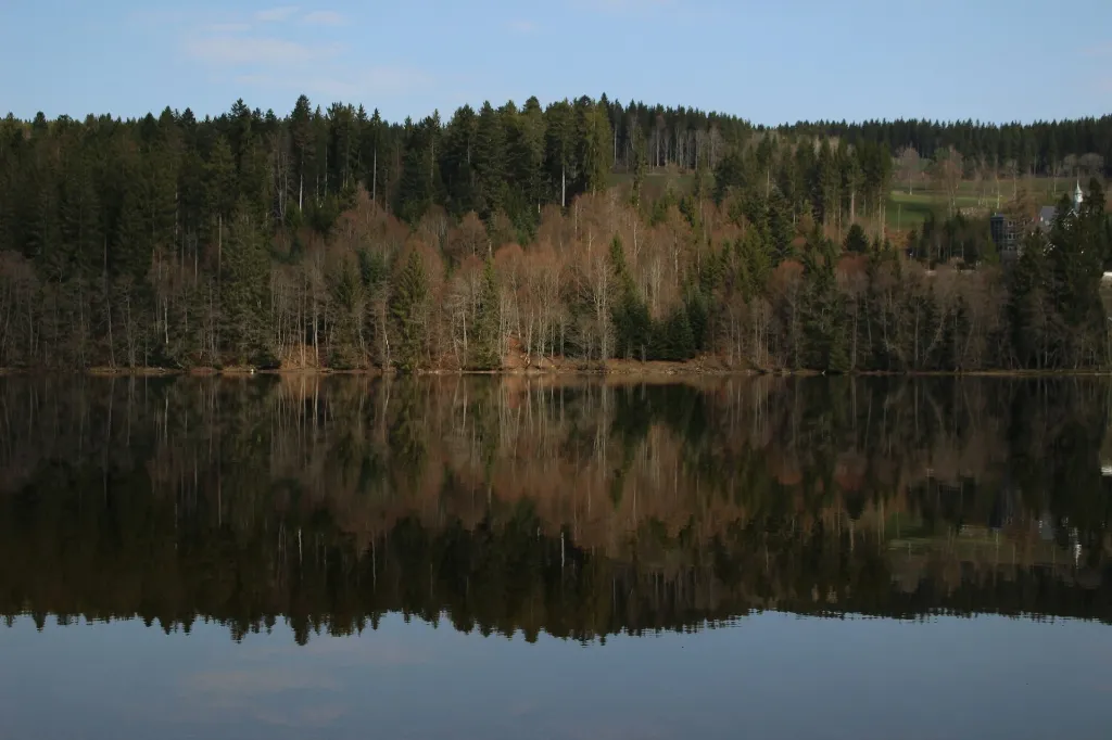 unsplash_mJQQnAKQzKo_Lake Titisee.webp
