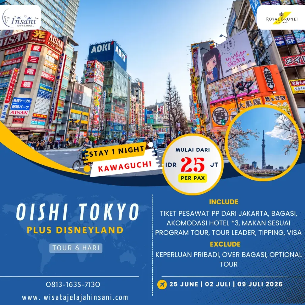 OISHI TOKYO PLUS DISNEYLAND 6D